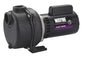 2 HP Permanent Lawn Sprinkler Pump WLS200