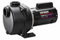 Wayne 2 HP Permanent Lawn Sprinkler Pump WLS200