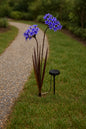 Trendscape Solar LED Twin Head Agapanthus Decor Pathway Light