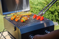 Nexgrill 2 Burner Portable Propane Gas Table Top Grill in Stainless Steel