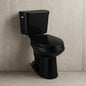 12 inch Rough In Two-Piece 1.28 GPF Single Flush Elongated Toilet in Black Seat Included