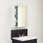 Pegasus 24 in. W x 30 in. H Rectangular Medicine Cabinet with Mirror