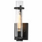 SATCO 1 Light Iron Black Bath Light 60 6381