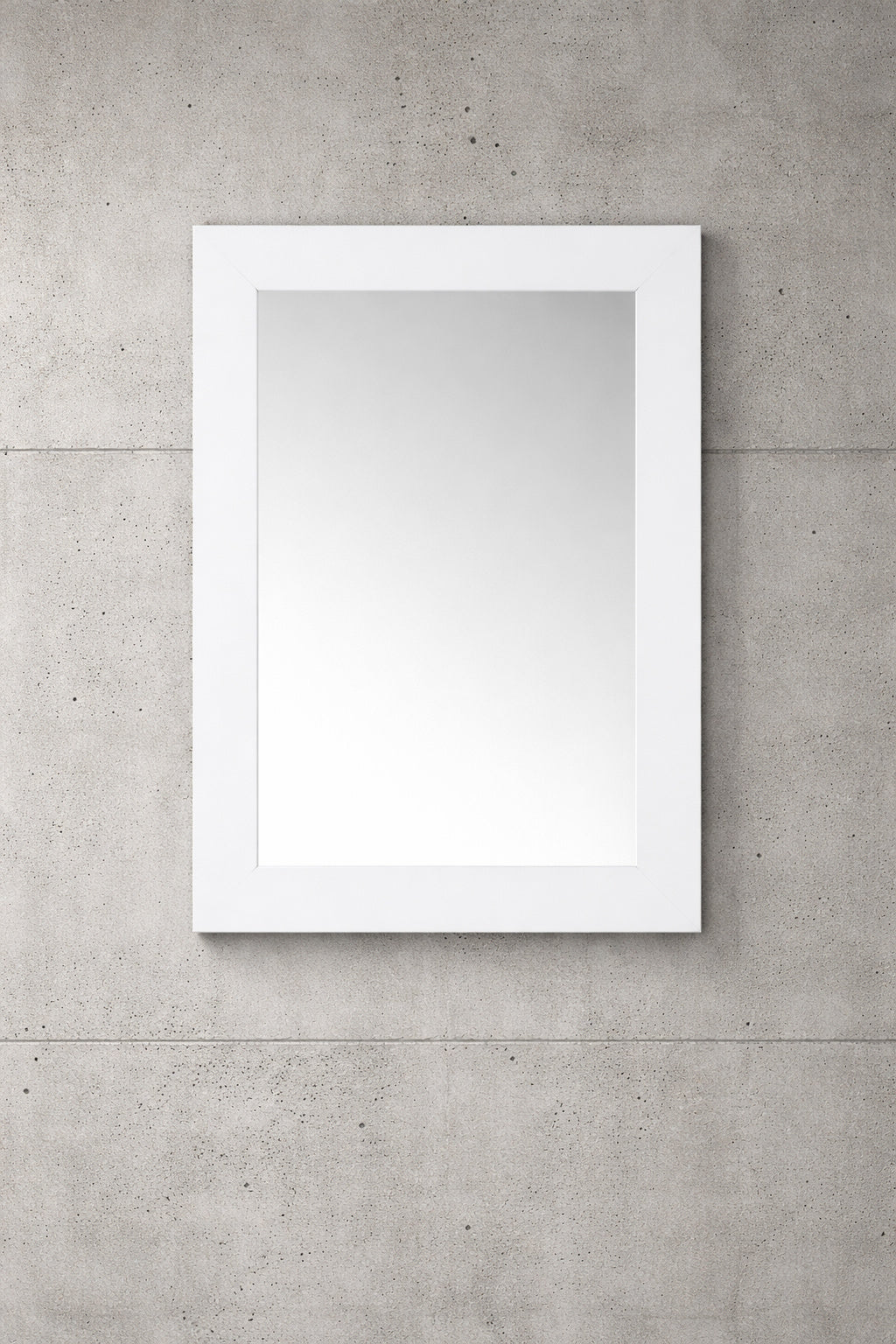 Home Decorators Collection Sonoma 22 in W x 30 in H Rectangular Framed Wall Mount Bathroom Vanity Mirror in White