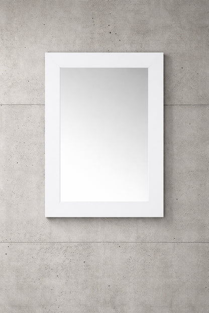 Home Decorators Collection Sonoma 22 in W x 30 in H Rectangular Framed Wall Mount Bathroom Vanity Mirror in White