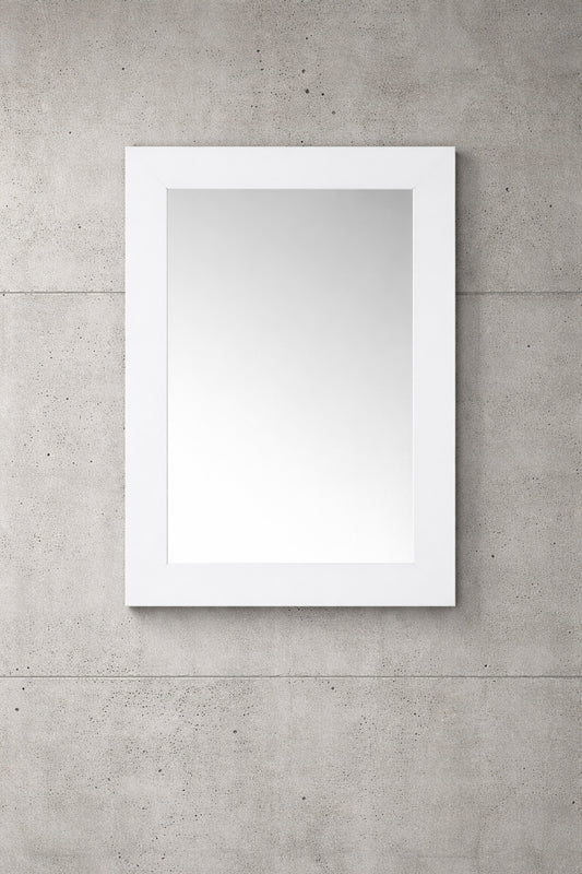Home Decorators Collection Sonoma 22 in W x 30 in H Rectangular Framed Wall Mount Bathroom Vanity Mirror in White