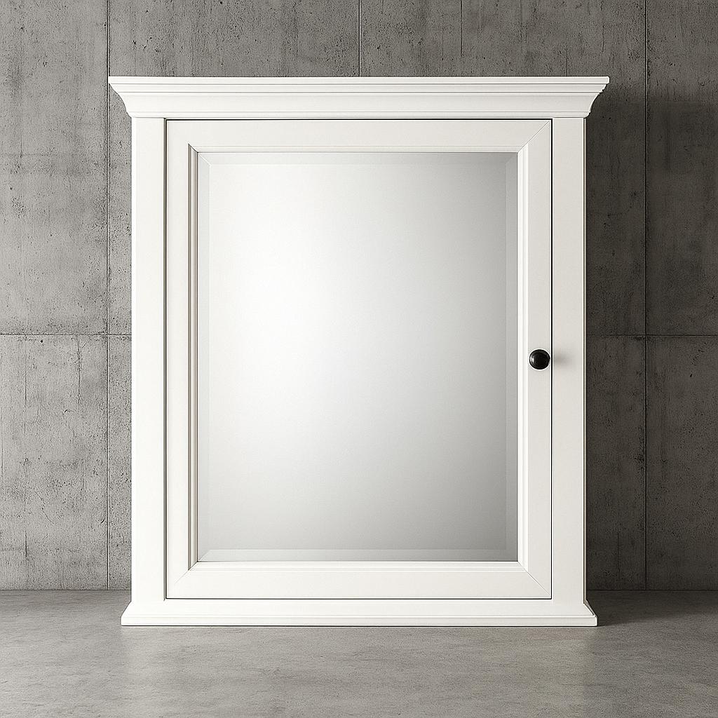 Home Decorators Collection Hamilton 24 in. W x 27 in. H Rectangular Medicine Cabinet with Mirror