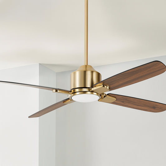 Home Decorators Collection Calthorpe 20 in. Indoor/Outdoor Wet Rated Portable Natural Iron Ceiling Fan