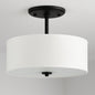 Progress Lighting Inspire Collection 2 Light Graphite Semi Flush Mount P350129 143/308391319 785247227228 Progress Lighting