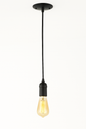 Globe Electric 1-Light Vintage Edison Matte Black Mini Pendant