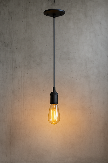 Globe Electric 1-Light Vintage Edison Matte Black Mini Pendant