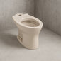 Drake Elongated Toilet Bowl Only with CeFiONtect in Sedona Beige