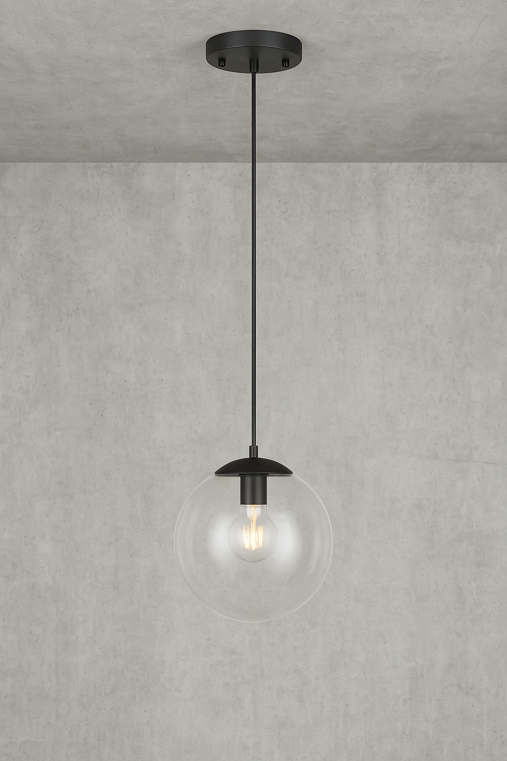 Light Society Zeno 1-Light Black/Clear Globe Pendant with Glass Shade