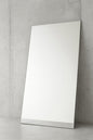 Dovelina 30 in W x 69 in H Oversized Rectangle Metal Framed Modern Wall Bathroom Vanity Mirror