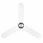 Home Decorators Collection Everaine 52 in. Ceiling Fan