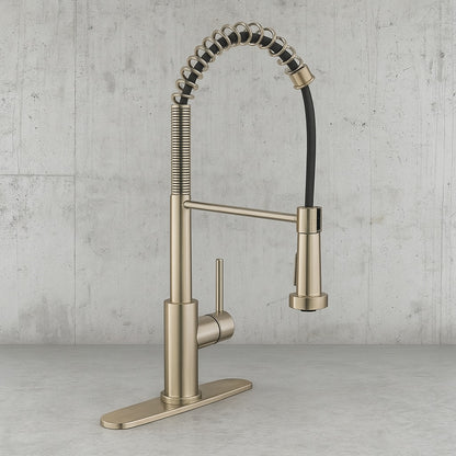Paulina Single-Handle Spring Neck Pull Down Sprayer Kitchen Faucet in Matte Gold