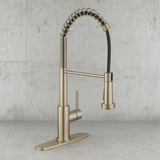 Paulina Single-Handle Spring Neck Pull Down Sprayer Kitchen Faucet in Matte Gold