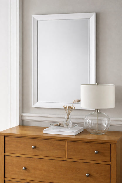 Home Decorators Collection 24 in W x 36 in H Rectangular Plastic Framed Wall Bathroom Vanity Mirror in Silver Screws Not Included