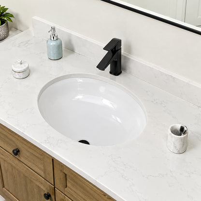 LORDEAR 19 in Oval Porcelain Undermount Bathroom Vessel Sink in White with Overflow HUY1916