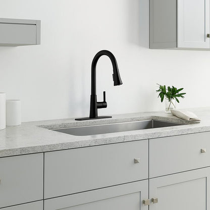 Paulina Single-Handle Pull-Down Sprayer Kitchen Faucet with TurboSpray, FastMount, Soap Dispenser in Matte Black