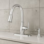 Kagan Chrome 15 in. H Pull Down Sprayer Kitchen Faucet with 360Ã‚Â° Swivel Spout