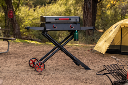 Nexgrill Daytona 2 Burner Propane Gas Grill 21 in Flat Top Griddle with Foldable Cart in Black