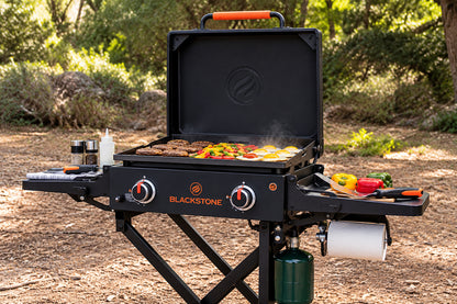Nexgrill Daytona 2 Burner Propane Gas Grill 21 in Flat Top Griddle with Foldable Cart in Black 720 1075B