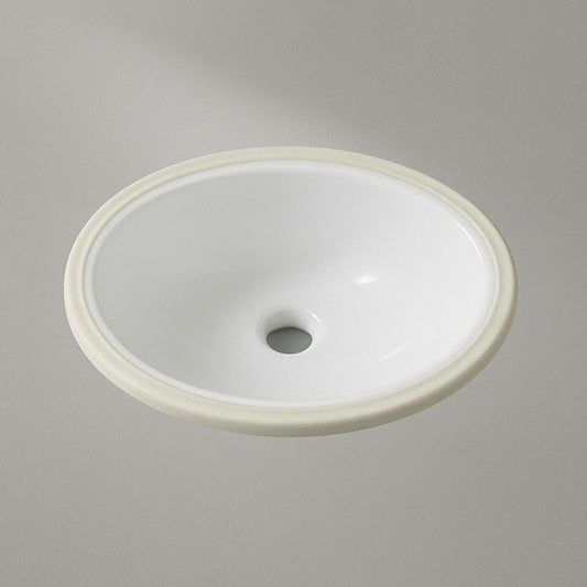 17.5 in. Oval Vitreous China Bathroom Sink in White 196852524907 Glacier Bay
