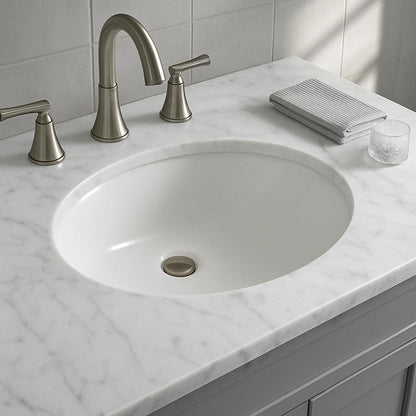 17.5 in. Oval Vitreous China Bathroom Sink in White 196852524907 Glacier Bay