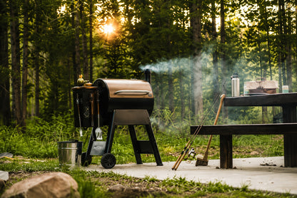Traeger Pro 22 Pellet Grill in Bronze with Cover