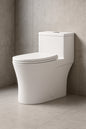 One-Piece 10 in. Rough-In 0.8/1.28 GPF Dual Flush Elongated Toilet in White, High-Efficiency WaterSense Toilet