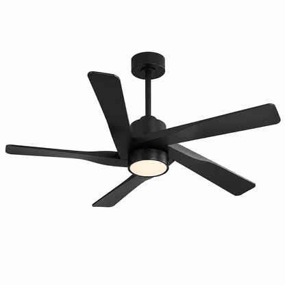 WINGBO 54 in 5 Blades 6 Fan Speeds LED Indoor Black Smart Ceiling Fan with Remote WBCF BS112 BK