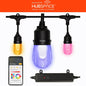 Hampton Bay Smart Black 12 Light 24 ft Indoor Outdoor Plug in Integrated LED RGBW String Light with Party Mode Powered by Hubspace