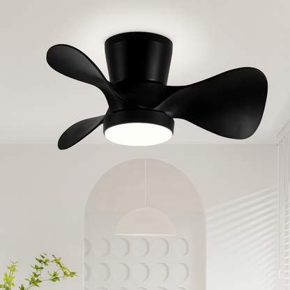 QRMOK 22 in. LED Indoor Black Small Ceiling Fan with Light and Remote and Reversible DC Motor 3 Blades