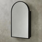 24 in. W x 36 in. H Arched Recessed/Surface Mount Medicine Cabinet with Mirror in Black 275193253940 Lirago