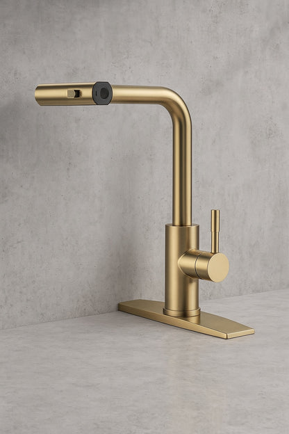 Single Handle Pull Down Sprayer Kitchen Faucet with Advanced Spray, Pull Out Spray Wand in Gold