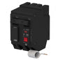 ABB 15 Amp Double Pole Ground Fault Breaker with Self Test