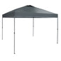 Everbilt 10 ft. x 10 ft. Grey Instant Canopy Pop Up Tent