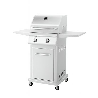 Nexgrill 2 Burner Stainless Steel Propane Gas Grill with Folding Side Shelves