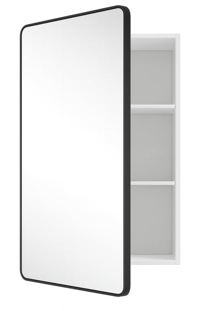 WallBeyond 16 in. W x24 in. H Round Corner Rectangular Black Aluminum Alloy Framed Medicine Cabinet with Mirror for Bathroom