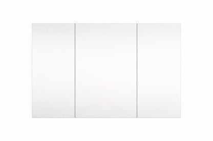 Forclover 48 In W X 30 In H Rectangular Medicine Cabinet With Mirror In Silver With Adjustable Shelves Soft Close
