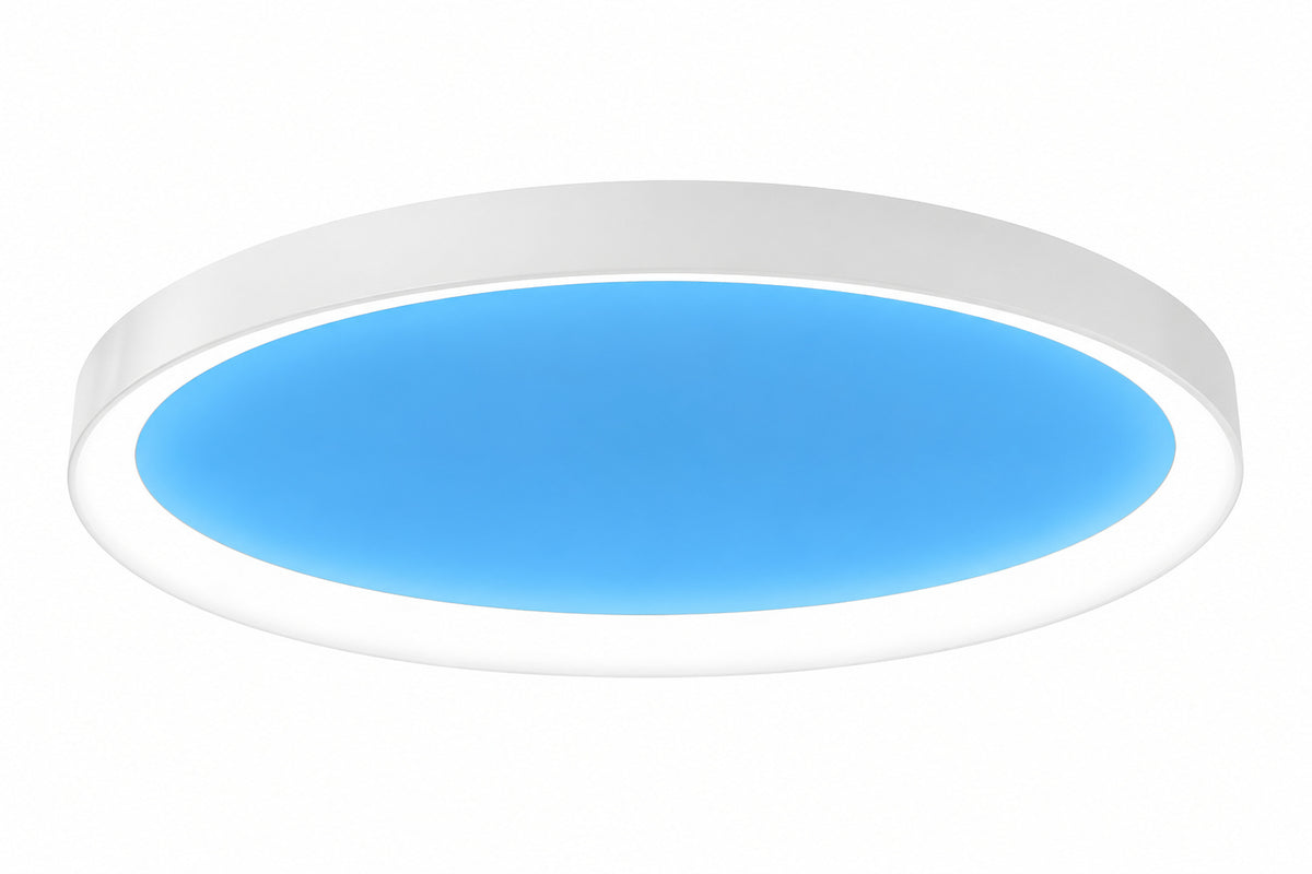 Feit Electric 24 in Vista Artificial Skylight White Integrated LED Oval Ceiling Flush Mount Light MultiMode Color Change 5CCT FP24RT SKY 5CCT WH