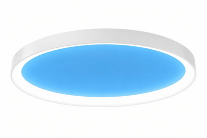 Feit Electric 24 in Vista Artificial Skylight White Integrated LED Oval Ceiling Flush Mount Light MultiMode Color Change 5CCT FP24RT SKY 5CCT WH