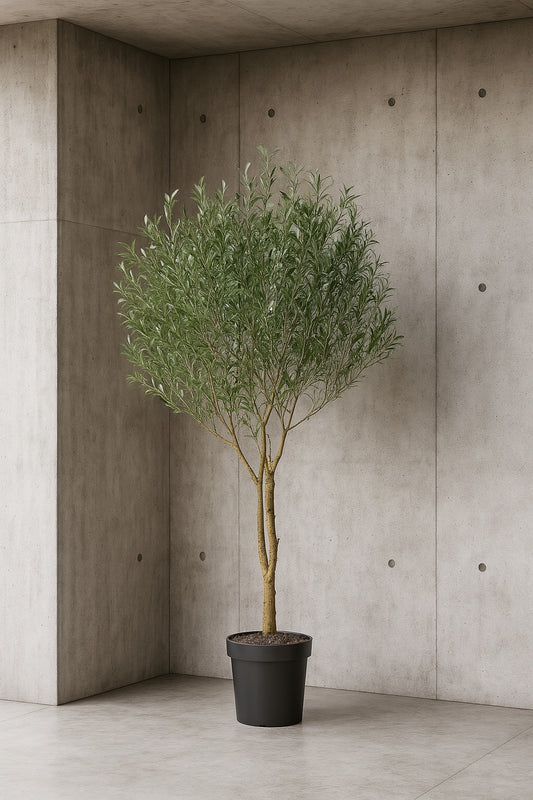 8ft Artificial Olive Tree Indoor Outdoor Faux Plant with UV Resistant in Black Planter for Home Office Decor GJPLSZGLS2 4