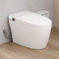 Eridanus Piedmont Elongated Bidet Toilet 1.28 GPF in White with Bidet/Rear Wash, Heated Seat, Auto Flush and Remote Control