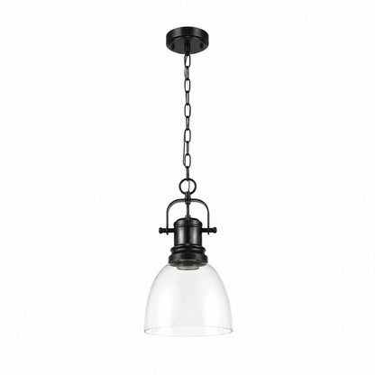 Golden Lighting Duncan 100 Watt 1 Light Matte Black Shaded Pendant Light with Clear Glass Shade No Bulbs Included 3602 S BLK CLR