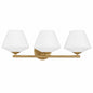 Hunter Hunter Celestial Valley 24 25 in 3 Light Alturas Gold Vanity Light 48110