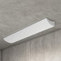 LB 48 in. x 10 in. Clear Narrow Wraparound Prismatic Lens 600171