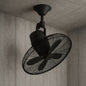 Home Decorators Collection Bentley III 22 in Indoor Outdoor Natural Iron Oscillating Ceiling Fan with Remote Control AL14 22 NI/205948170 792145359142 Home Decorators Collection