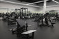 Plate Loaded Hip Thrust Glute Drive Machine (New)
